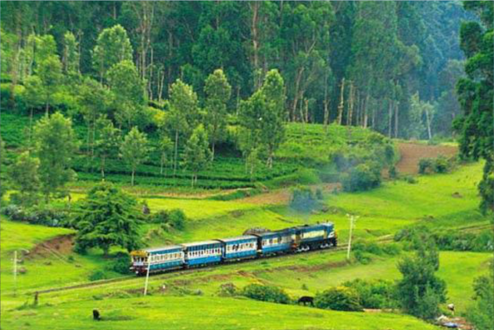 coorg rajasthan