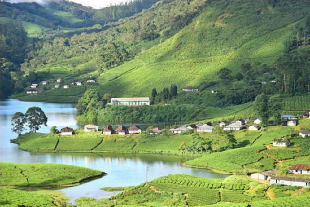 munnar