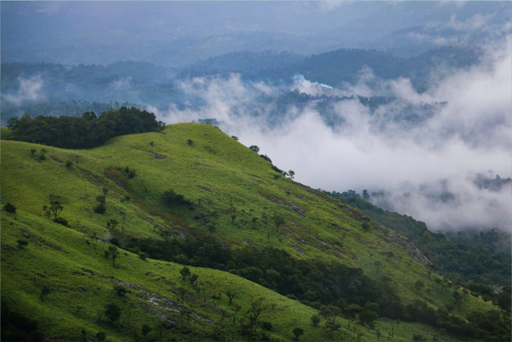 wayanad